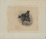 DONKEY'S HEAD, IN PROFILE TO THE RIGHT